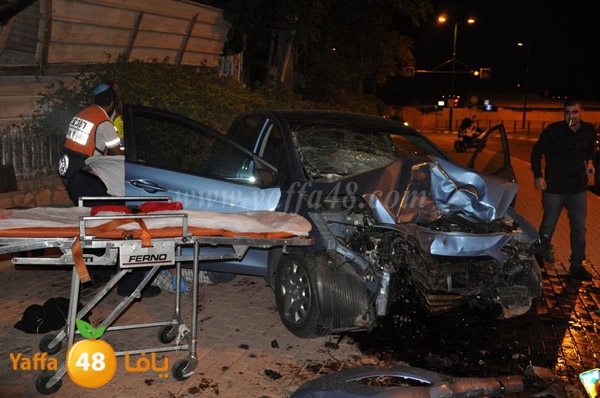 acc 7eshmona2em palmtree (1).JPG